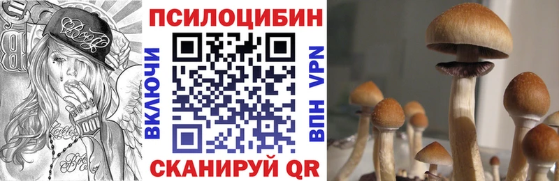 что такое   Асбест  Галлюциногенные грибы GOLDEN TEACHER 